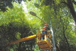 成都武侯祠最新爆料,历史遗迹焕新颜，文化传承再升级