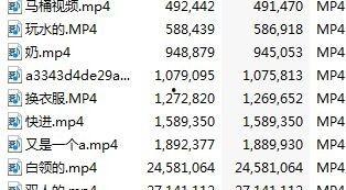 最新爆料抖音成都聚会,揭秘网红聚集地的狂欢之夜